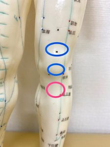 ジャンパー膝の痛み 症状とは 治療 リハビリ方法も徹底解説 白石市で整体なら白石接骨院いとうへ ３万人以上を施術し紹介率95