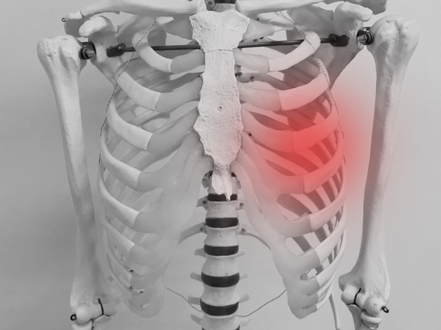 肋骨骨折放置のリスクと対処法を詳しく解説 白石市で整体なら白石接骨院いとうへ ３万人以上を施術し紹介率95